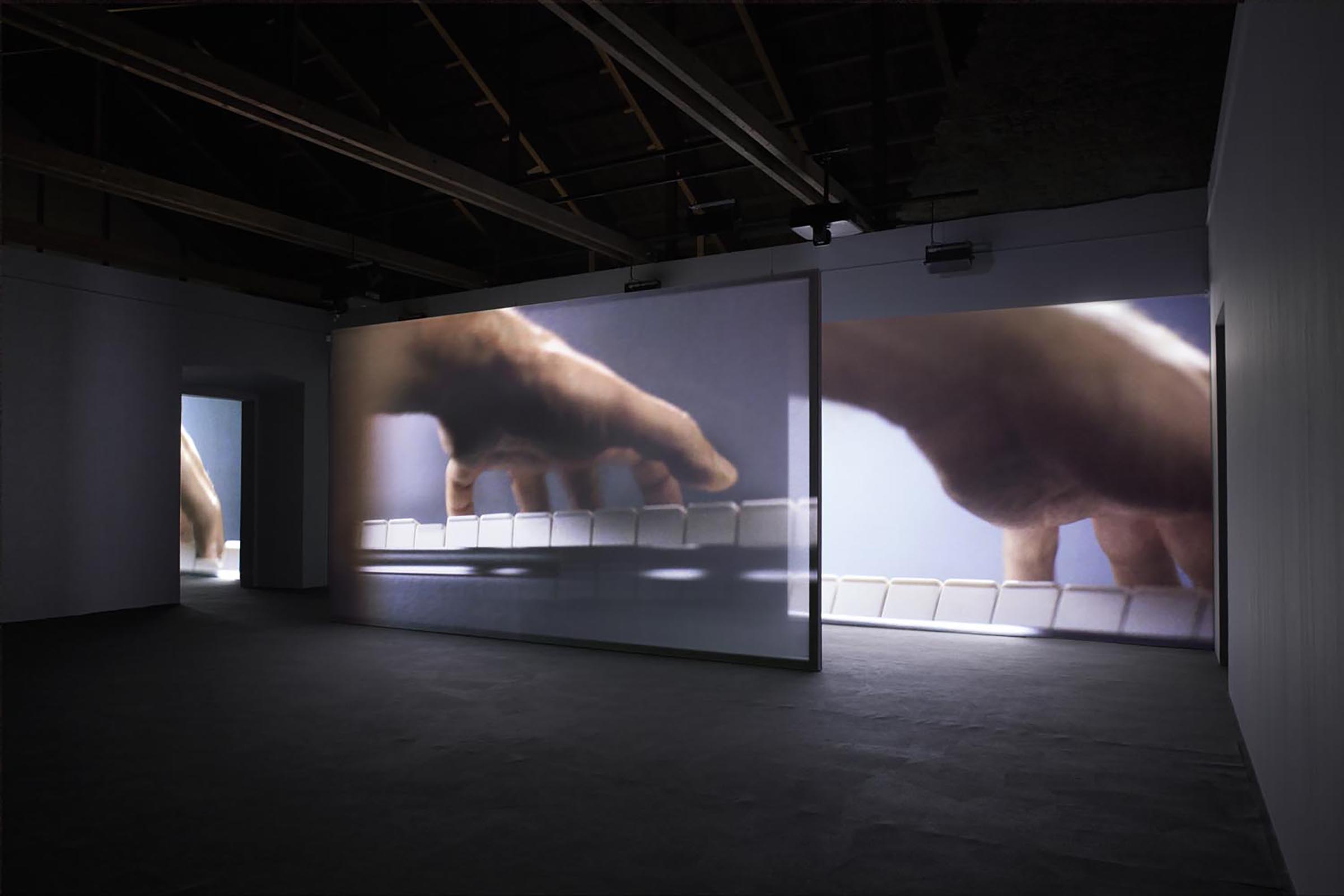 Anri Sala, Ravel Ravel, 2013
